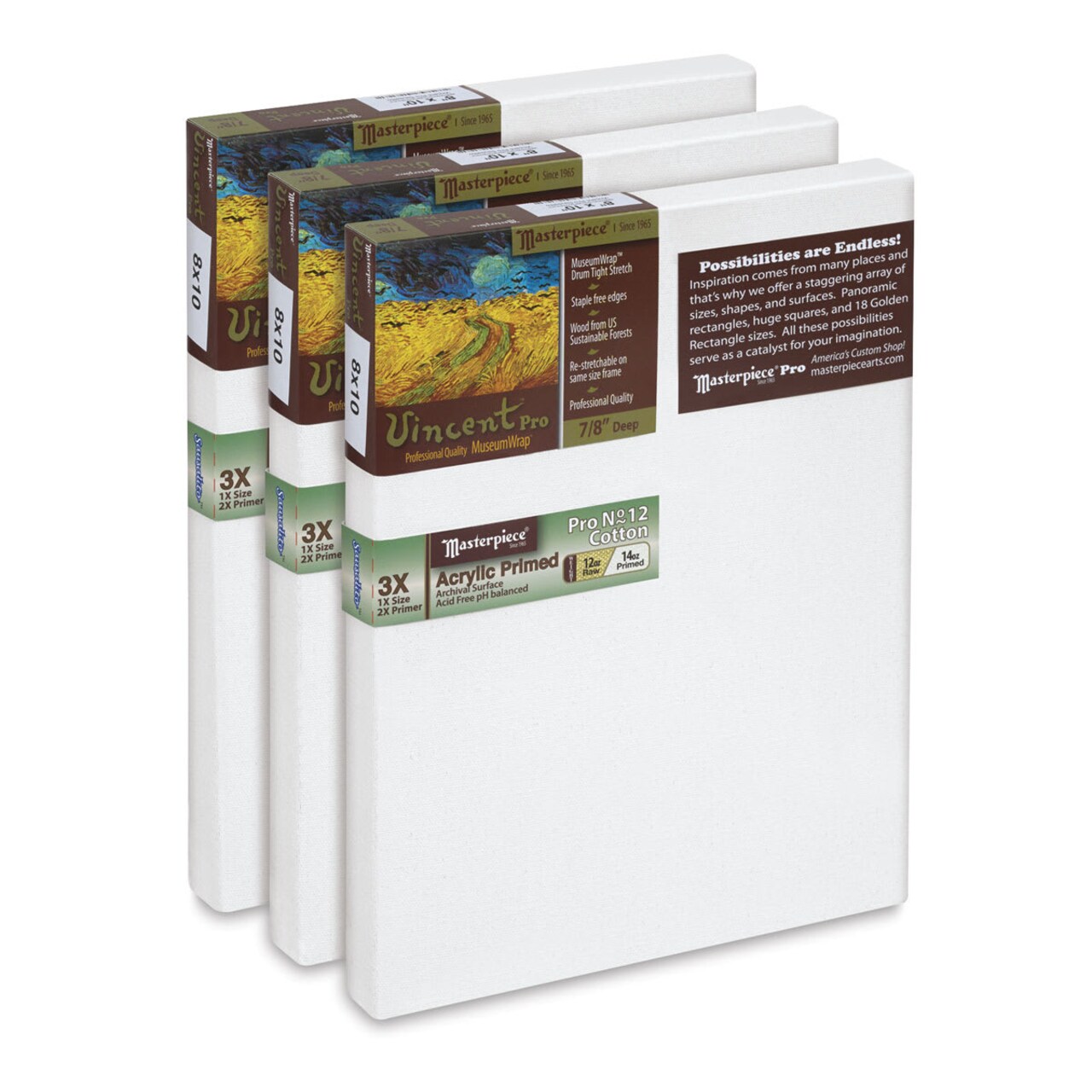 Masterpiece Vincent Pro Sausalito Cotton Canvas - Value Pack of 3, 8" x 10" Acrylic Primed